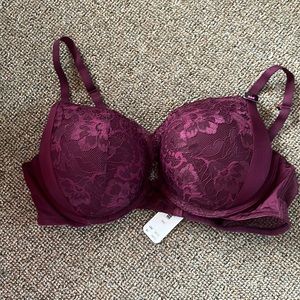 Beyond sexy lace push up bra
